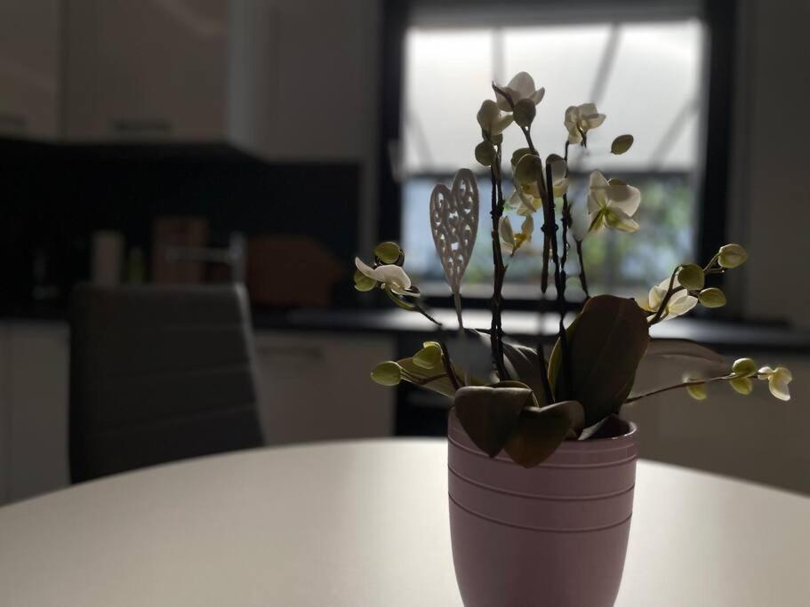 Schoenes Reihenhaus Mit Garten Magdeburg Eksteriør billede